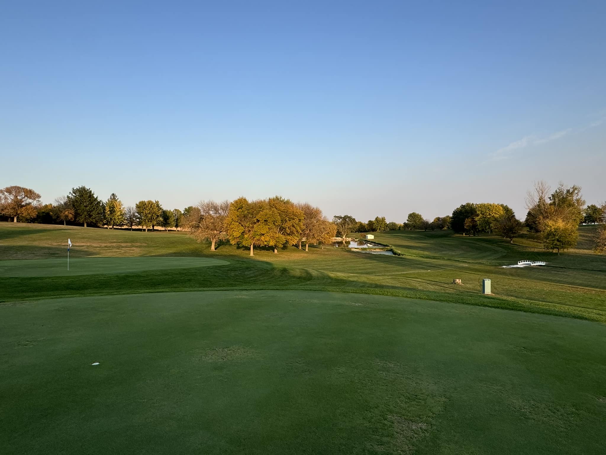 Golf course green with trees in distance